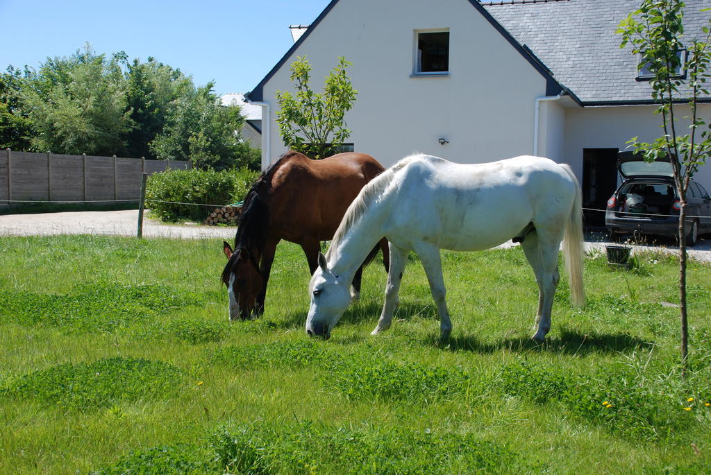 Roulotte Gites O Bien-Etre Massage Spa Sejour Bien-Etre En Hebergement Insolite Roulotte Karantez Ou En Gites Melon Ou Yock A 800 M Des Plages Maison D'Hote Drogou Porspoder Værelse billede