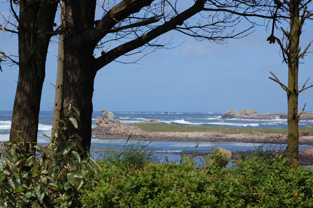 Roulotte Gites O Bien-Etre Massage Spa Sejour Bien-Etre En Hebergement Insolite Roulotte Karantez Ou En Gites Melon Ou Yock A 800 M Des Plages Maison D'Hote Drogou Porspoder Eksteriør billede